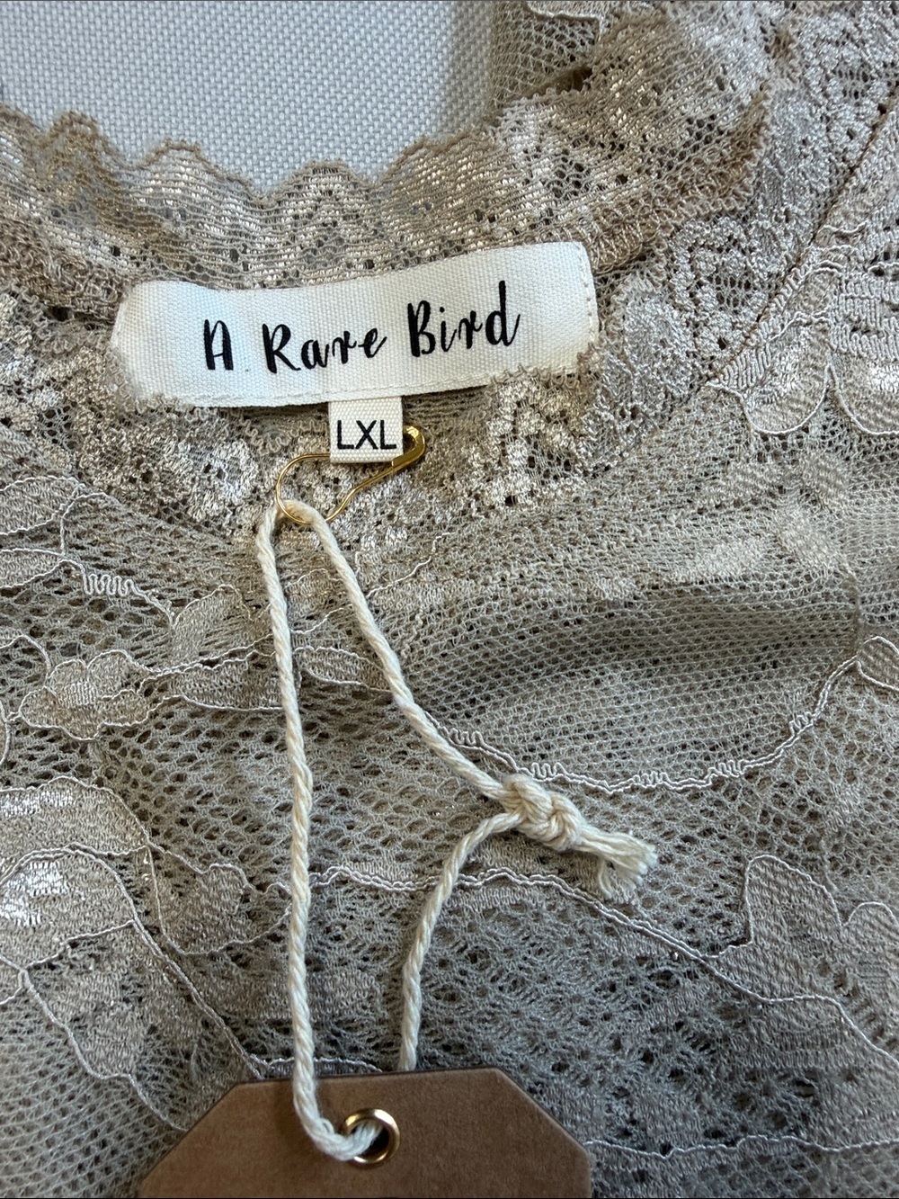 ‼️RESTOCKED‼️ A Rare Bird Vintage Sheer STRETCHY Lace Sand Long-Sleeve - Picture 2 of 8